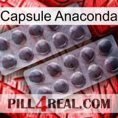 Anaconda Capsule 31